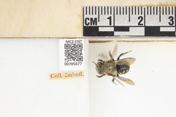 Media type: image;   Entomology 785677 Aspect: Labels